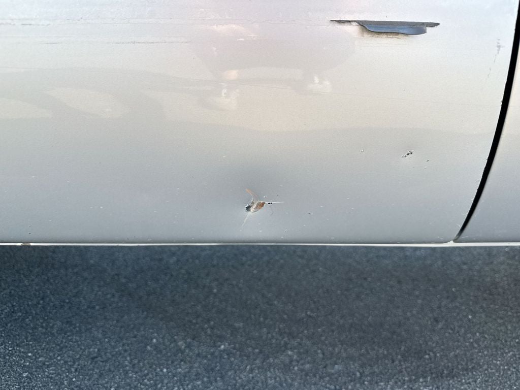 2003 Dodge Ram 1500 SLT