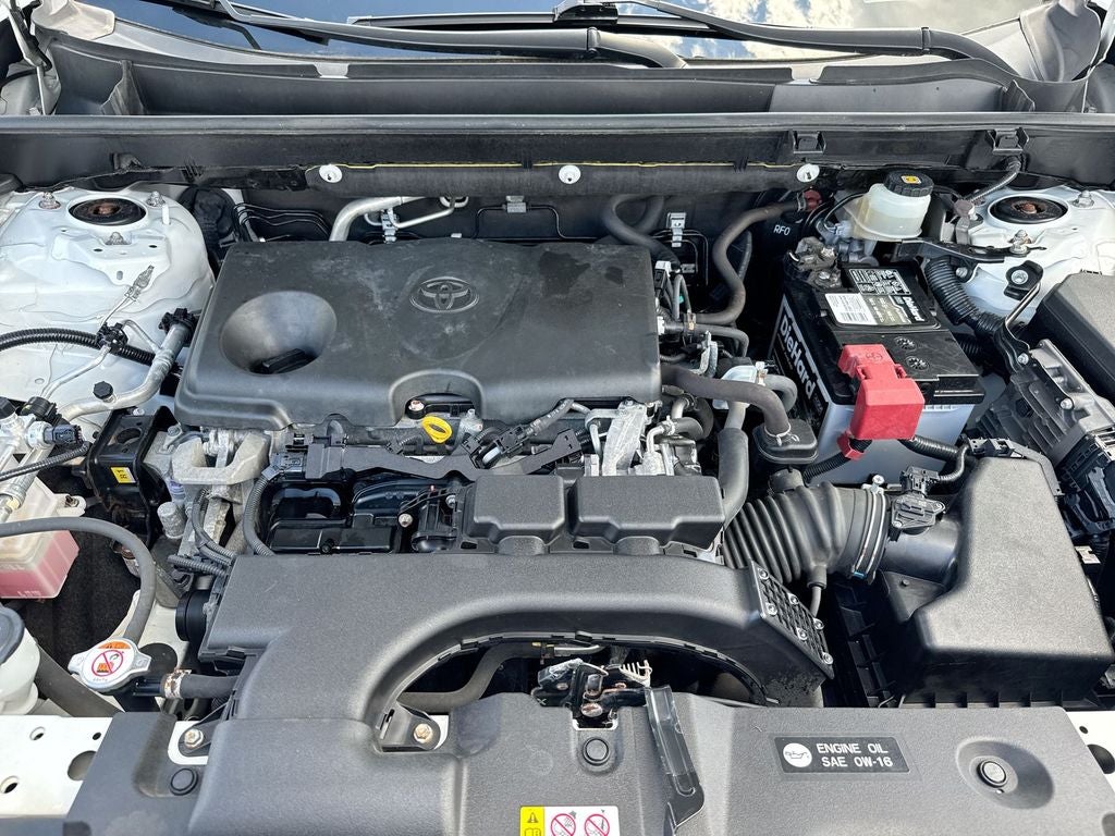 2019 Toyota RAV4 LE