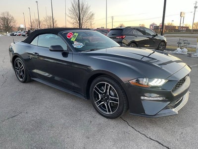 2023 Ford Mustang EcoBoost