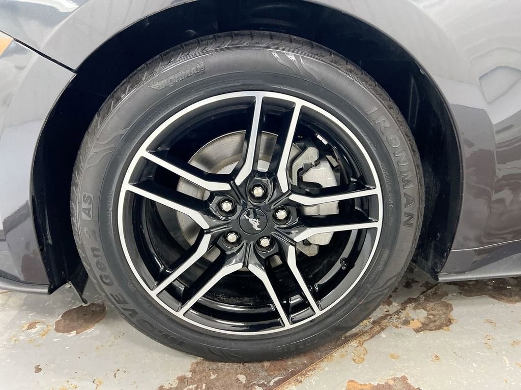 2023 Ford Mustang EcoBoost