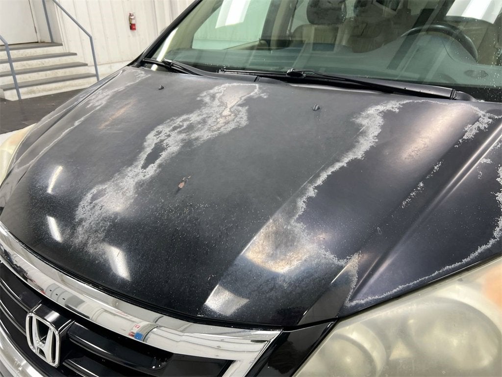 2009 Honda Odyssey EX-L