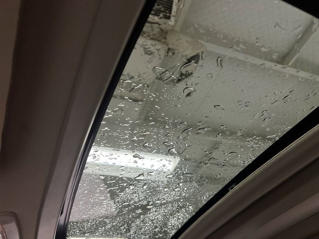 2016 Toyota Sienna XLE