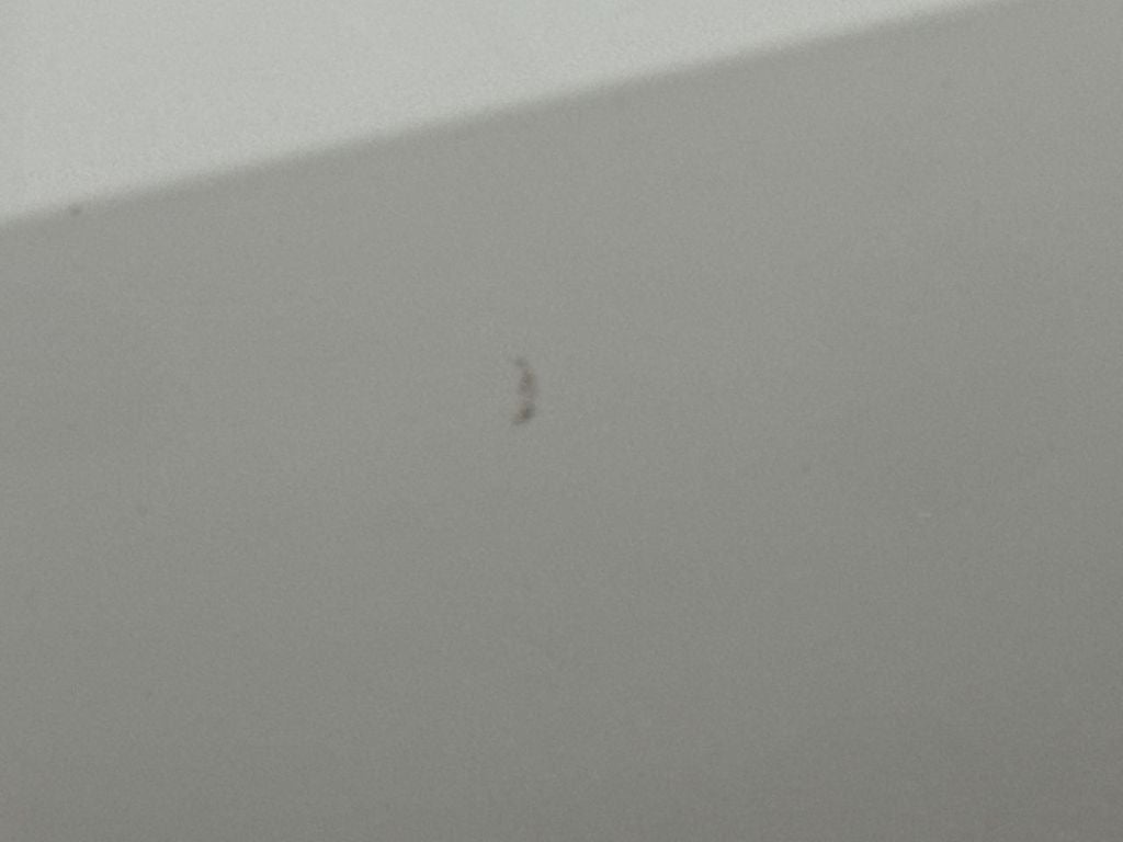 2014 Chevrolet Camaro 1LS