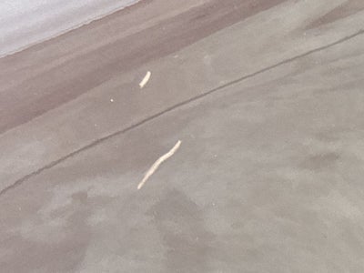 1998 Toyota Avalon XL