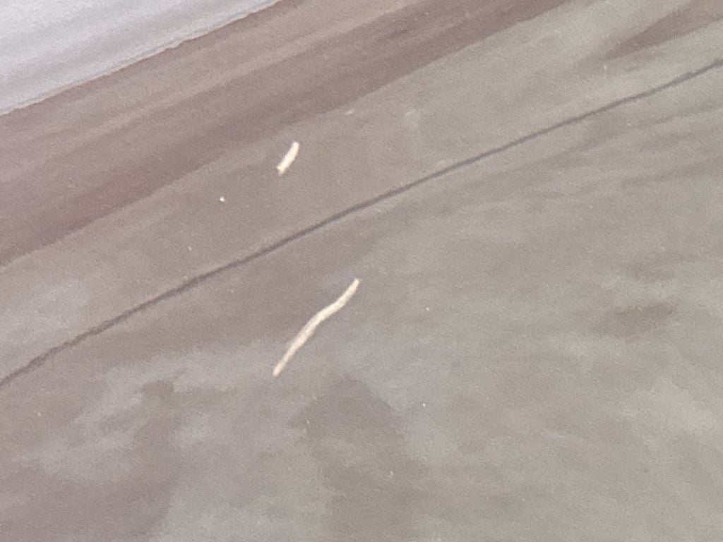 1998 Toyota Avalon XL