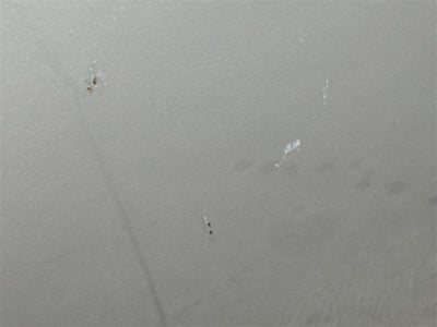 2010 INFINITI G37 Base