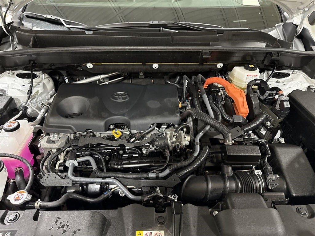 2024 Toyota Venza XLE