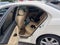 2005 Acura TSX Base