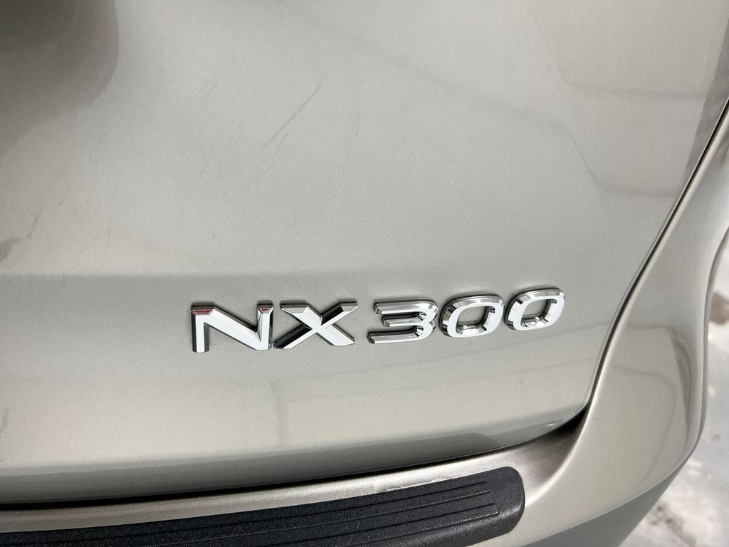 2021 Lexus NX 300 F Sport