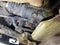 2003 GMC Sierra 1500 SLT
