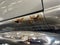 2003 GMC Sierra 1500 SLT