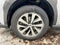 2024 Subaru Outback Base