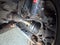 2006 Saturn Ion ION 2 4dr Sdn Auto