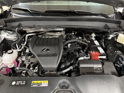 2024 Lexus TX TX 350