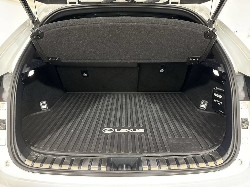 2020 Lexus NX NX 300 F SPORT