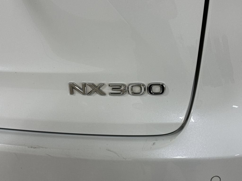 2020 Lexus NX NX 300 F SPORT