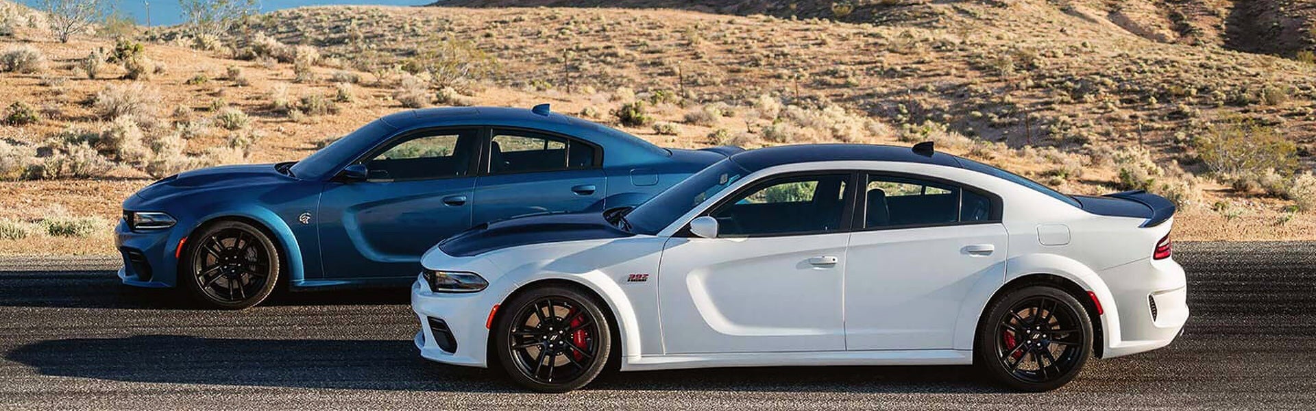 Two 2021 Dodge Charger on the road